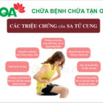 Chữa sa tử cung bằng đông y